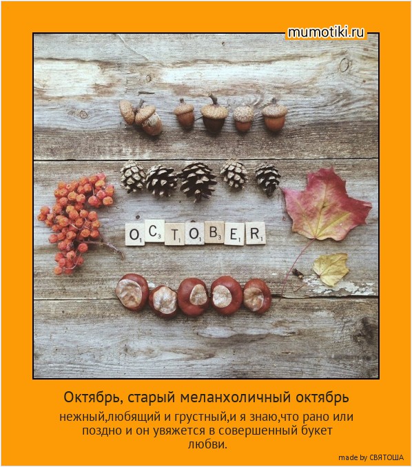 Октябрь, старый меланхоличный октябрь нежный,любящий и грустный,и я знаю,что рано или поздно и он увяжется в совершенный букет любви. #мотиватор