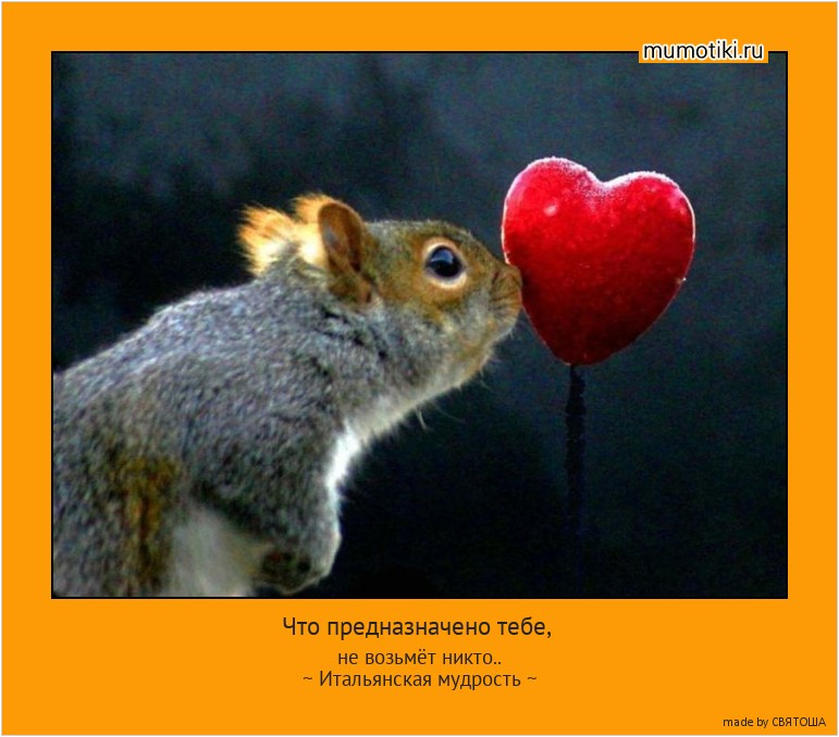 Что предназначено тебе, не возьмёт никто..
~ Итальянская мудрость ~ #мотиватор