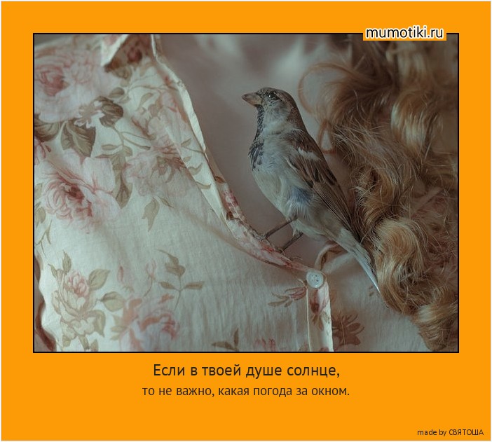 Если в твоей душе солнце, то не важно, какая погода за окном. #мотиватор
