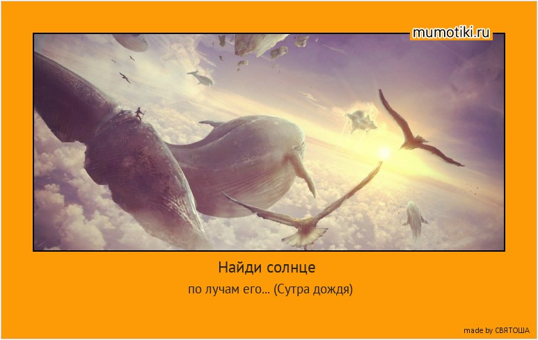 Найди солнце по лучам его... (Сутра дождя) #мотиватор