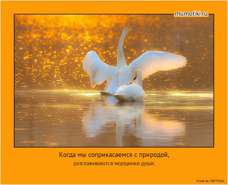 Когда мы соприкасаемся с природой, разглаживаются морщинки души. #мотиватор