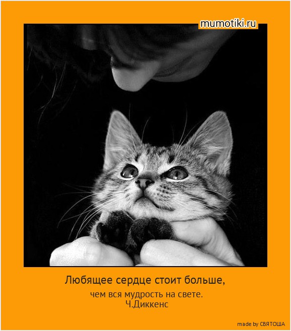 Любящее сердце стоит больше, чем вся мудрость на свете. Ч.Диккенс #мотиватор