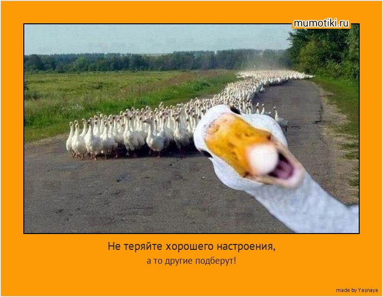 Не теряйте хорошего настроения, а то другие подберут! #мотиватор