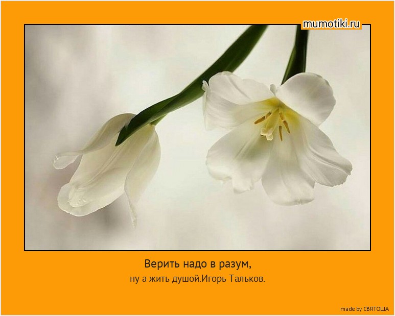 Верить надо в разум, ну а жить душой.Игорь Тальков. #мотиватор