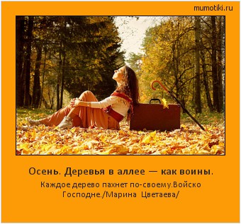Осень. Деревья в аллее — как воины. Каждое дерево пахнет по-своему.Войско Господне./Марина Цветаева/ #мотиватор