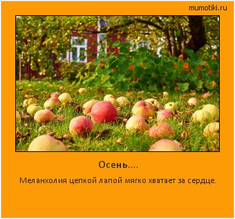 Осень.... Меланхолия цепкой лапой мягко хватает за сердце. #мотиватор