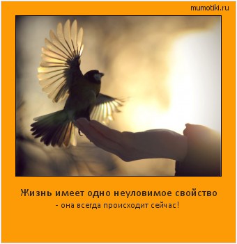 Жизнь имеет одно неуловимое свойство - она всегда происходит сейчас! #мотиватор