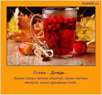 Осень... Дождь... Время самых тёплых объятий, самых уютных вечеров, самых душевных слов... #мотиватор