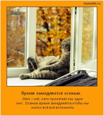 Время замедляется осенью. Лето – нет, лето пролетает,как один миг…Осенью время замедляется,чтобы мы могли всё-всё вспомнить #мотиватор