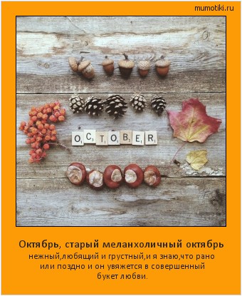 Октябрь, старый меланхоличный октябрь нежный,любящий и грустный,и я знаю,что рано или поздно и он увяжется в совершенный букет любви. #мотиватор