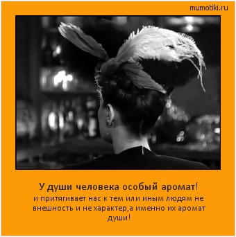 У души человека особый аромат! и притягивает нас к тем или иным людям не внешность и не характер,а именно их аромат души! #мотиватор