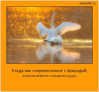 Когда мы соприкасаемся с природой, разглаживаются морщинки души. #мотиватор