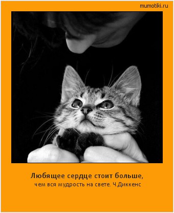 Любящее сердце стоит больше, чем вся мудрость на свете. Ч.Диккенс Cамые лучшие мотиваторы на mumotiki.ru Любящее сердце стоит больше, чем вся мудрость на свете. Ч.Диккенс #мотиватор