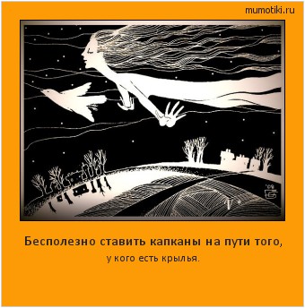 Бесполезно ставить капканы на пути того, у кого есть крылья. Cамые лучшие мотиваторы на mumotiki.ru Бесполезно ставить капканы на пути того, у кого есть крылья. #мотиватор
