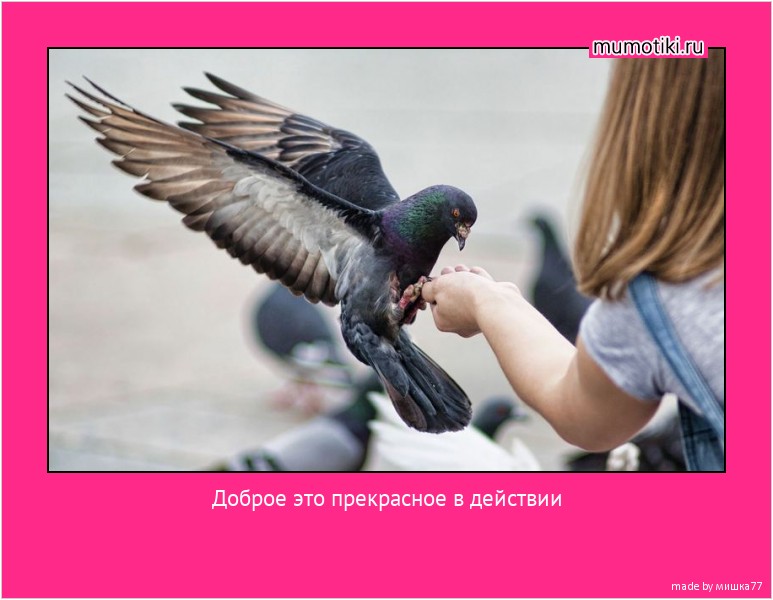 Доброе это прекрасное в действии #мотиватор