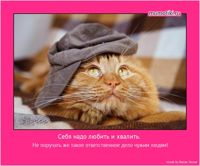 Себя надо любить и хвалить. Не поручать же такое ответственное дело чужим людям! #мотиватор