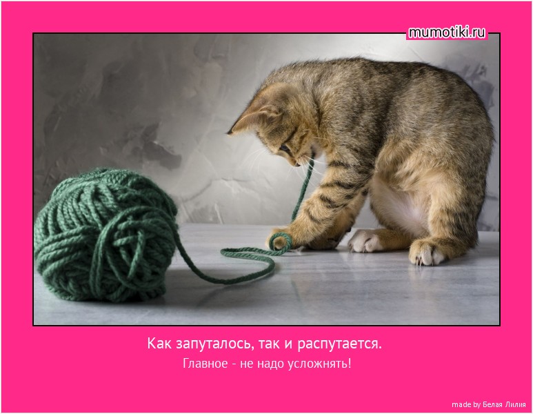 Как запуталось, так и распутается. Главное - не надо усложнять! #мотиватор