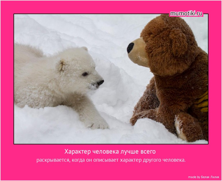 Характер человека лучше всего раскрывается, когда он описывает характер другого человека. #мотиватор