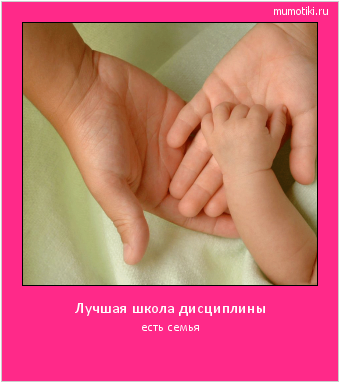 Лучшая школа дисциплины есть семья #мотиватор