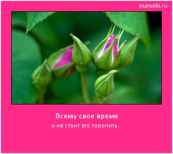 Всему свое время и не стоит его торопить... #мотиватор