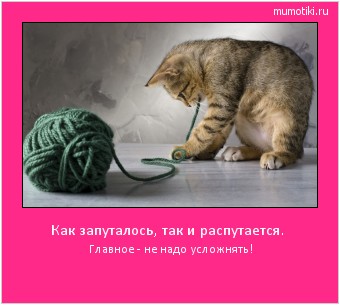 Как запуталось, так и распутается. Главное - не надо усложнять! #мотиватор
