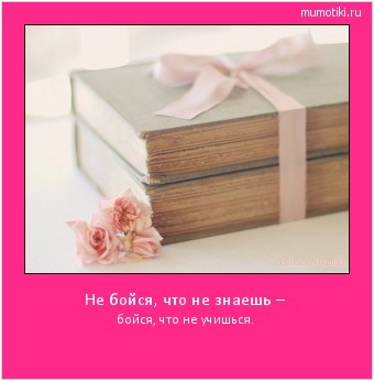 Не бойся, что не знаешь – бойся, что не учишься. Cамые лучшие мотиваторы на mumotiki.ru Не бойся, что не знаешь – бойся, что не учишься. #мотиватор