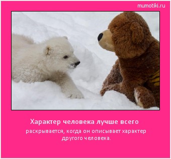 Характер человека лучше всего раскрывается, когда он описывает характер другого человека. #мотиватор