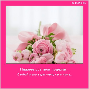 Нежнее роз твои поцелуи... С тобой и зима для меня, как в июле... #мотиватор