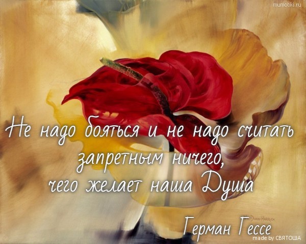 Не надо бояться и не надо считать запретным ничего, чего желает наша Душа Герман Гессе #цитата