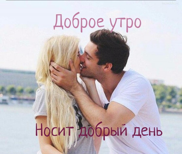 Доброе утро Носит добрый день #цитата