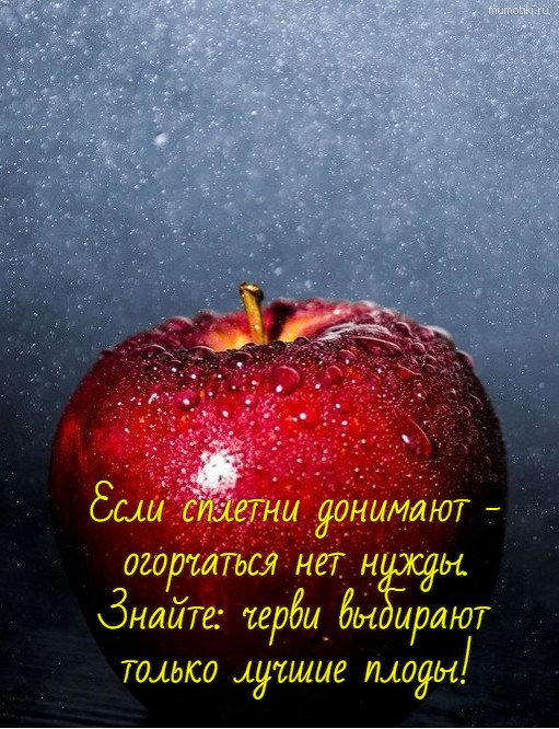 Если сплетни донимают - огорчаться нет нужды. Знайте: черви выбирают только лучшие плоды! #цитата