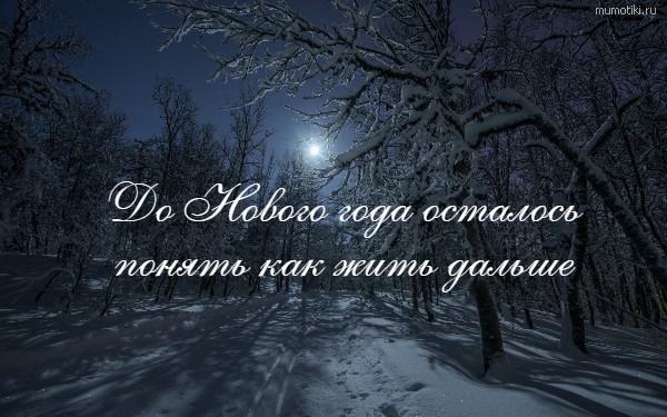 До Нового года осталось понять, как жить дальше #цитата