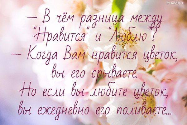 — В чём разница между 