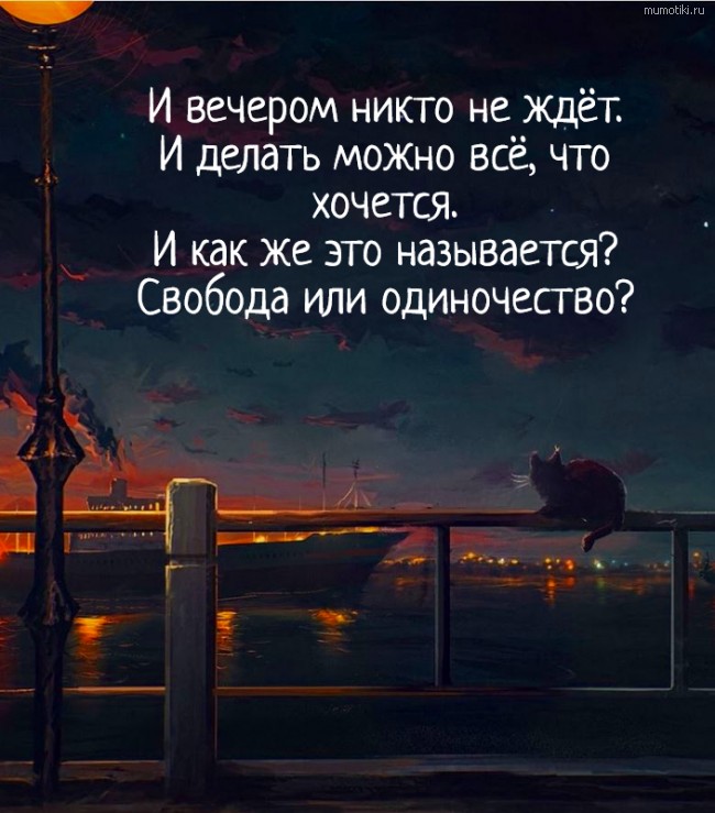 И вечером никто не ждёт. И делать можно всё, что хочется. И как же это называется? Свобода или одиночество? #цитата