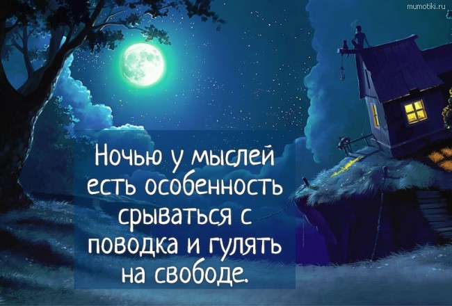 Ночью у мыслей есть особенность срываться с поводка и гулять на свободе. #цитата