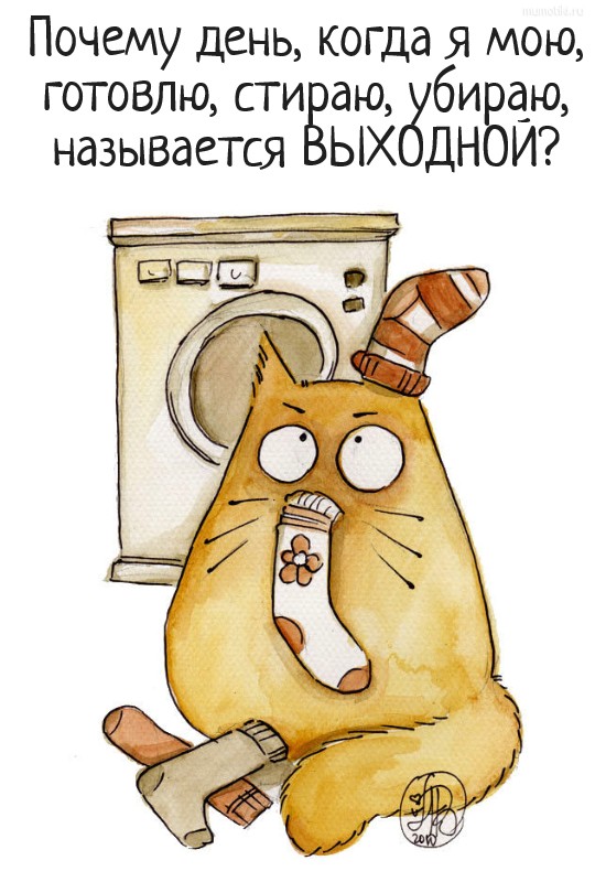 Почему день, когда я мою, готовлю, стираю, убираю, называется ВЫХОДНОЙ? #цитата