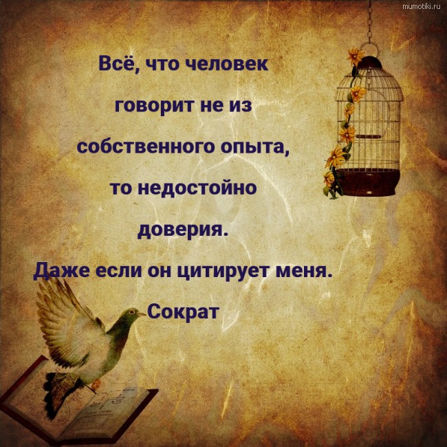 Всё, что человек говорит не из собственного опыта, то недостойно доверия. Даже если он цитирует меня. Сократ #цитата