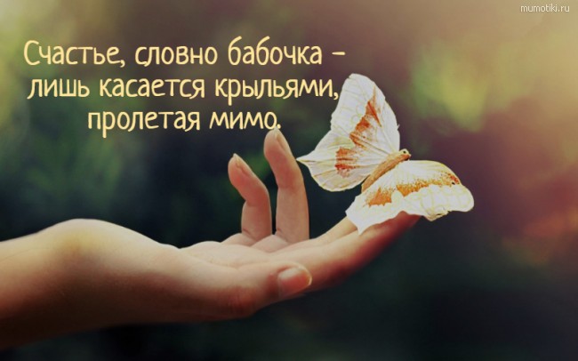 Счастье, словно бабочка - лишь касается крыльями, пролетая мимо. #цитата