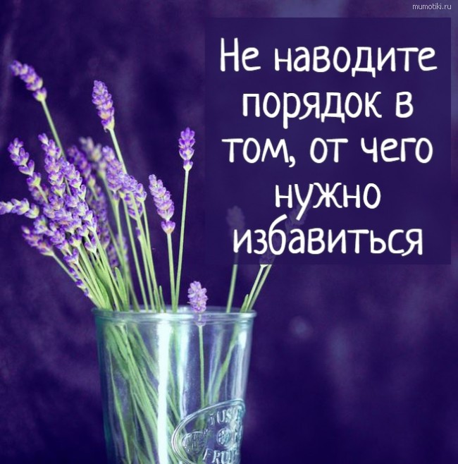 Не наводите порядок в том, от чего нужно избавиться Не наводите порядок в том, от чего нужно избавиться