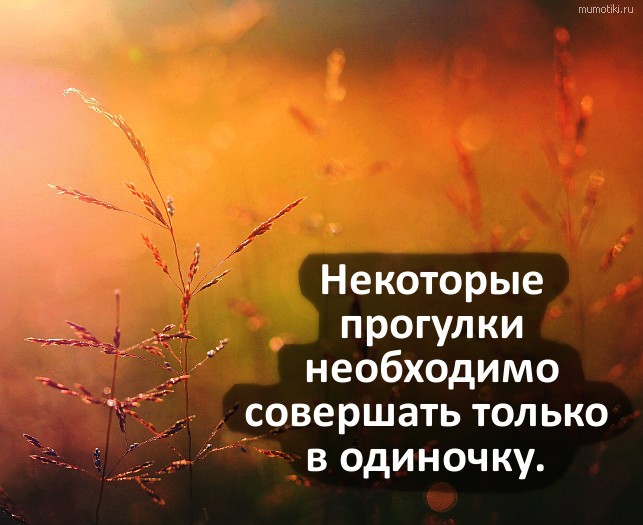 Некоторые прогулки необходимо совершать только в одиночку. #цитата