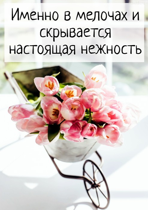 Именно в мелочах и скрывается настоящая нежность #цитата