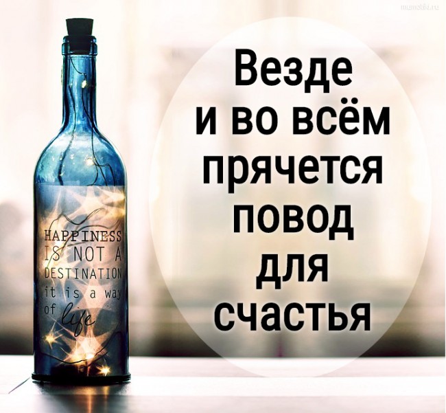 Везде и во всём прячется повод для счастья #цитата