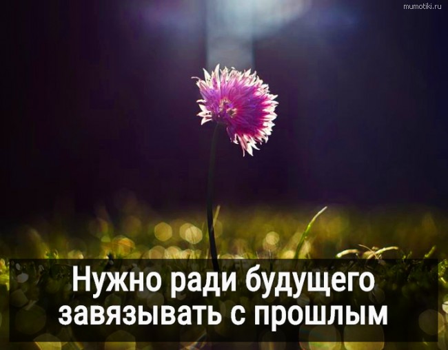 Нужно ради будущего завязывать с прошлым #цитата