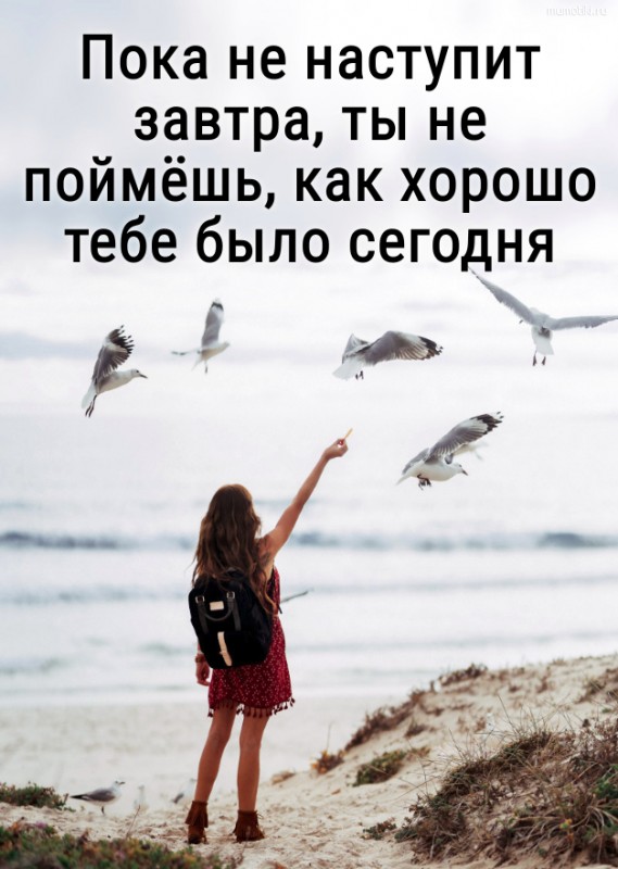 Пока не наступит завтра, ты не поймёшь, как хорошо тебе было сегодня. #цитата