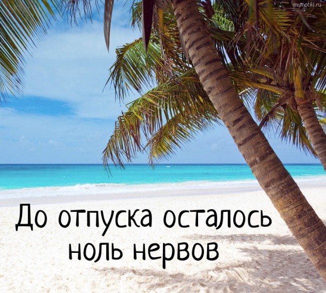 До отпуска осталось ноль нервов. #цитата