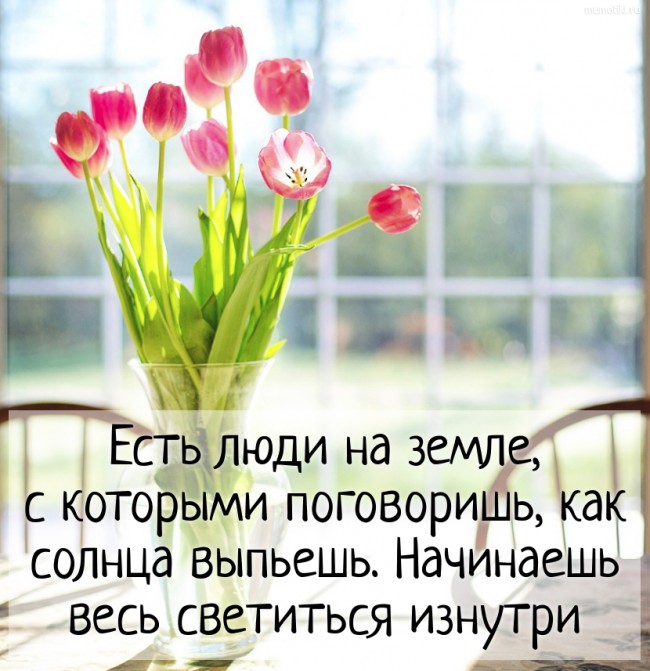 Есть люди на земле, с которыми поговоришь, как солнца выпьешь. Начинаешь весь светиться изнутри #цитата