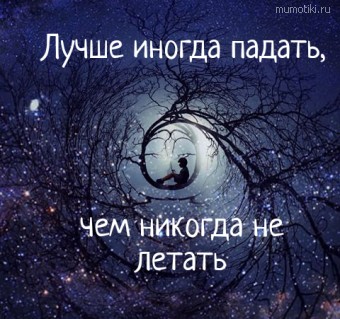 Лучше иногда падать, чем никогда не летать - Cамые лучшие цитаты на mumotiki.ru Лучше иногда падать, чем никогда не летать #цитаты