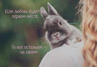 Если любовь будет на первом месте, То все остальное - на своем - Cамые лучшие цитаты на mumotiki.ru Если любовь будет на первом месте, То все остальное - на своем #цитаты