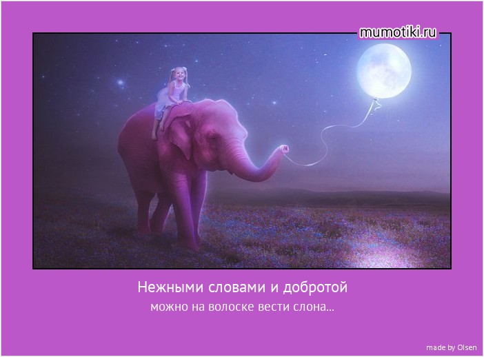 Нежными словами и добротой можно на волоске вести слона... #мотиватор