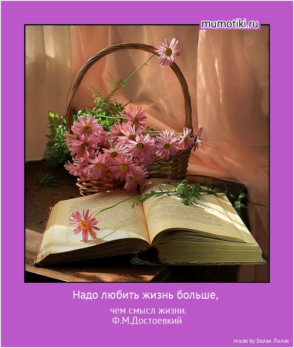 Надо любить жизнь больше, чем смысл жизни.
Ф.М.Достоевкий #мотиватор